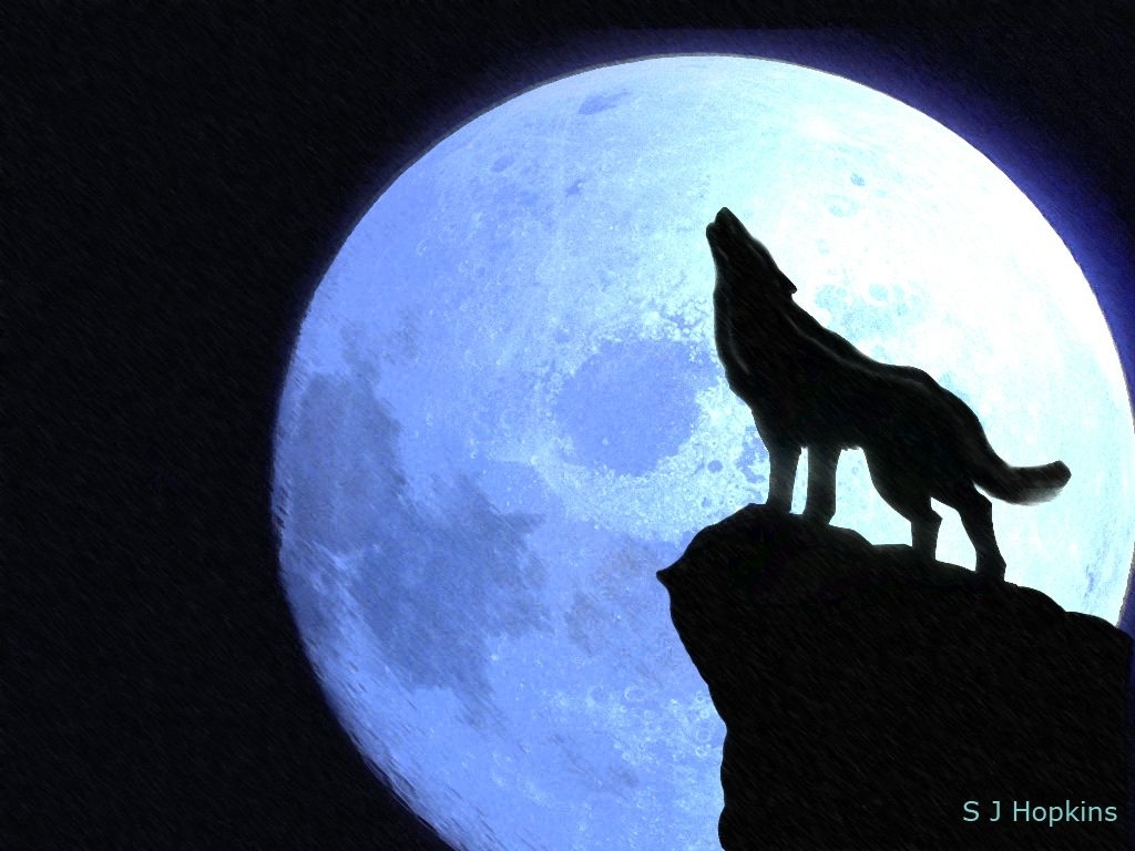 10 Top And Latest Images Of Wolves Howling At The Moon for Desktop with FUL...