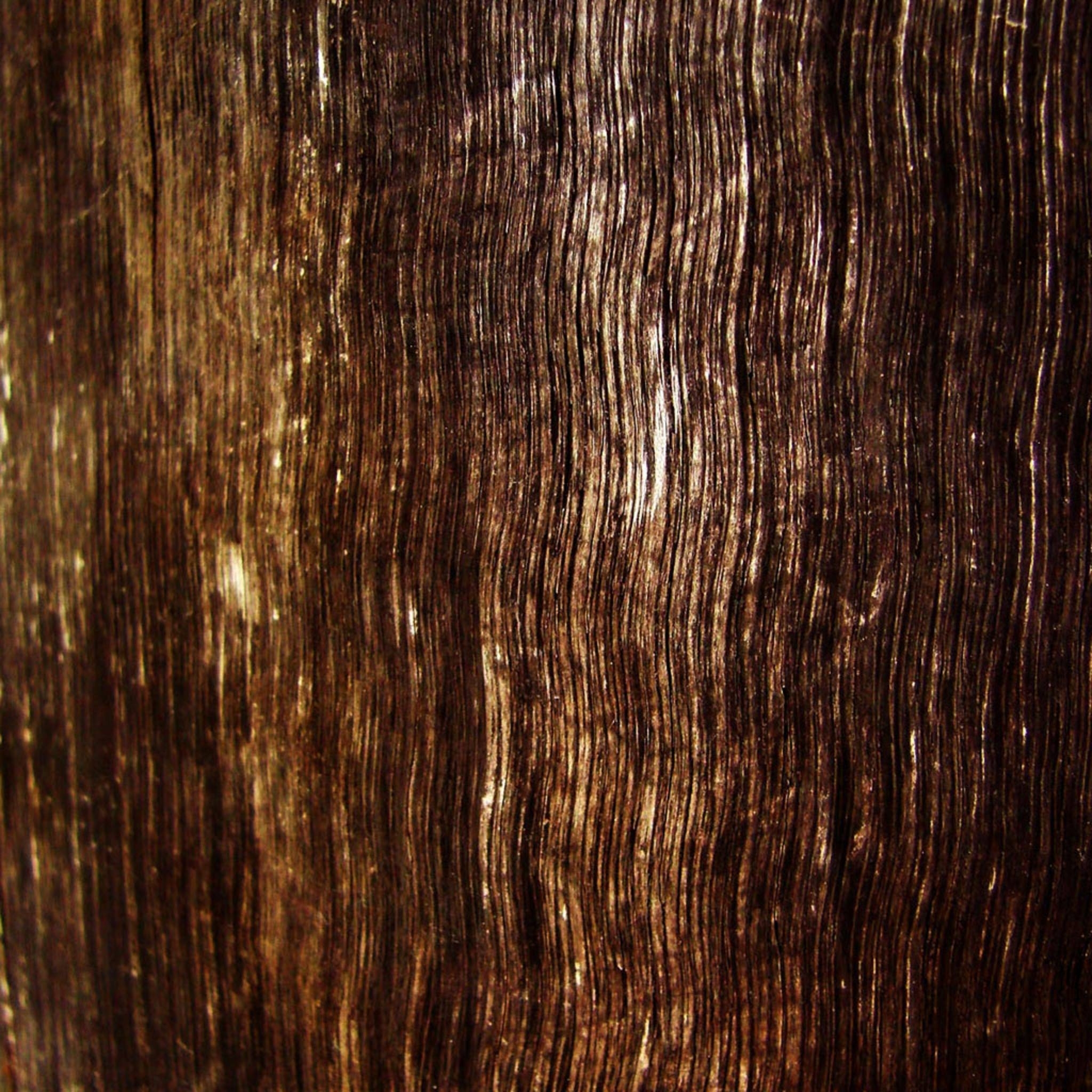 Древесина темного цвета. Браун Вуд (Brown Wood). Темное дерево. Коричневое дерево. Текстура дерева.