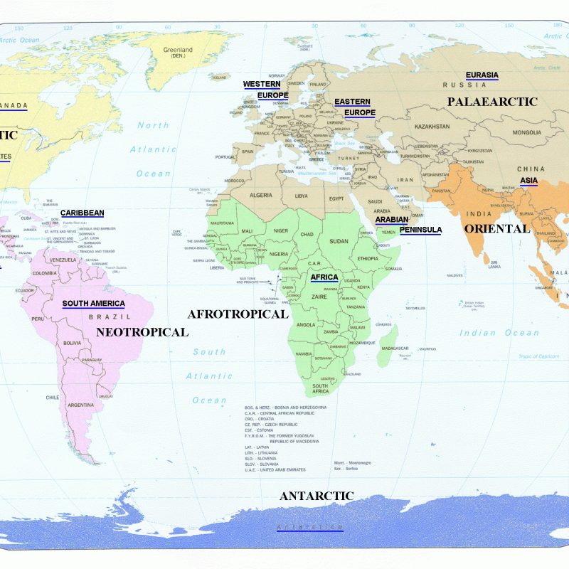 10 Most Popular World Map Desk Top FULL HD 1080p For PC Desktop 2024 free download world map desktop wallpaper group 0 800x800